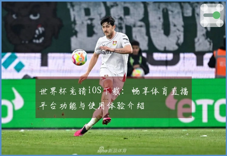 世界杯竞猜iOS下载：畅享体育直播平台功能与使用体验介绍