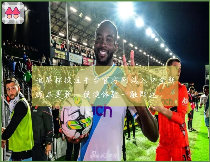世界杯投注平台官方网站入口全新版本更新，便捷体验一触即达