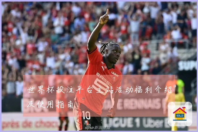 世界杯投注平台主站活动福利介绍及使用指南