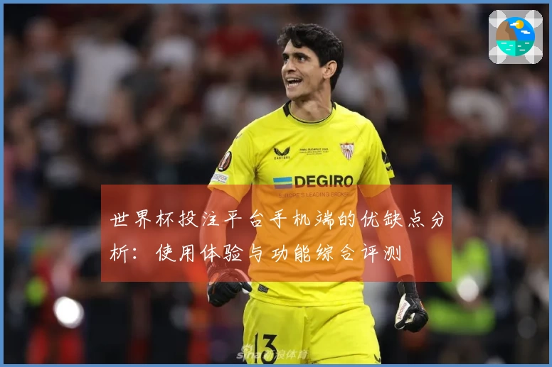世界杯投注平台手机端的优缺点分析：使用体验与功能综合评测