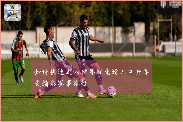 如何快速进入世界杯竞猜入口并享受精彩赛事体验