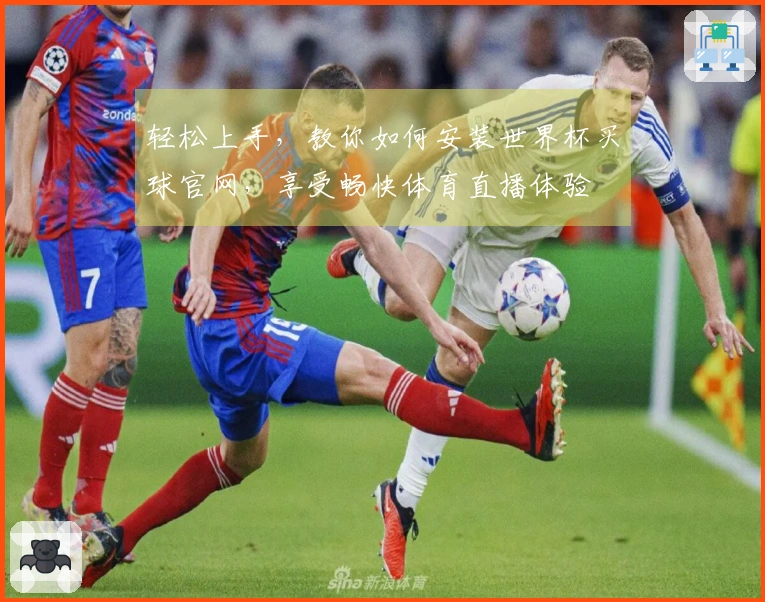 轻松上手，教你如何安装世界杯买球官网，享受畅快体育直播体验
