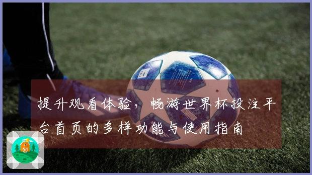 提升观看体验，畅游世界杯投注平台首页的多样功能与使用指南