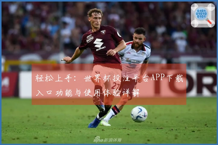 轻松上手：世界杯投注平台APP下载入口功能与使用体验详解