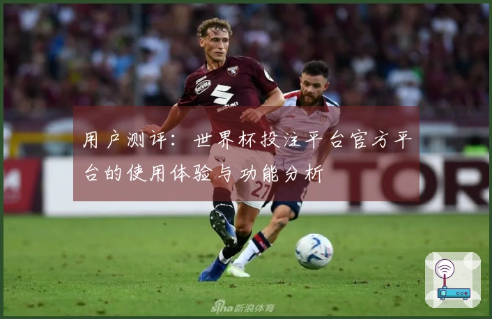 用户测评：世界杯投注平台官方平台的使用体验与功能分析