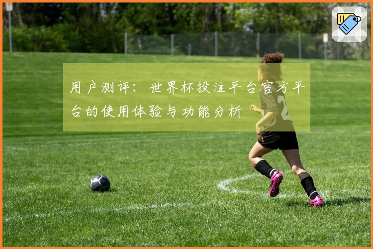 用户测评：世界杯投注平台官方平台的使用体验与功能分析
