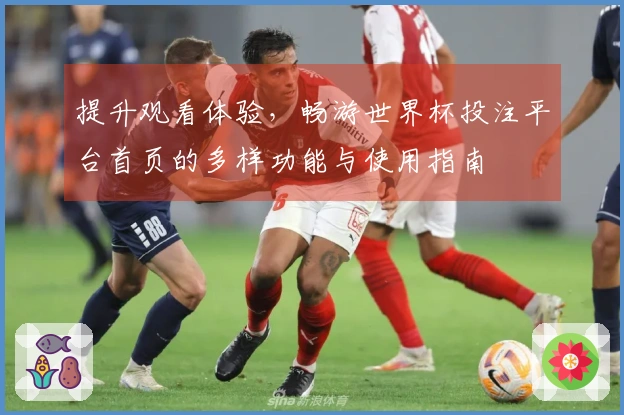 提升观看体验,畅游世界杯投注平台首页的多样功能与使用指南