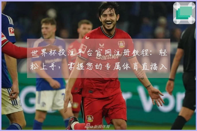 世界杯投注平台官网注册教程：轻松上手，掌握您的专属体育直播入口与使用秘籍