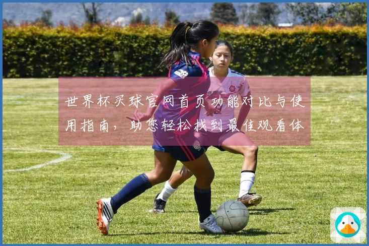 世界杯买球官网首页功能对比与使用指南，助您轻松找到最佳观看体验