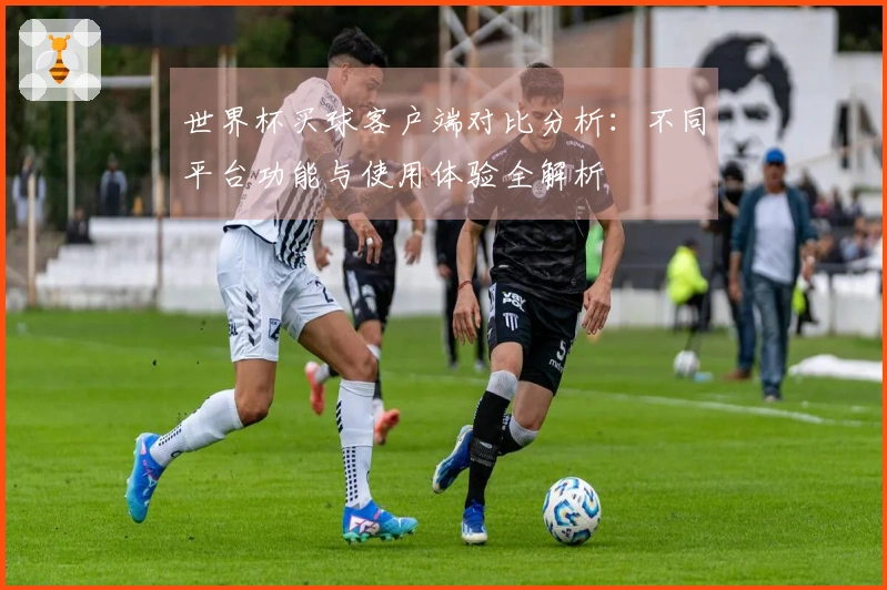 世界杯买球客户端对比分析：不同平台功能与使用体验全解析